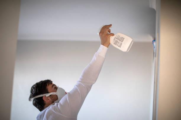 Best Mold Damage Repair  in Perry, LA