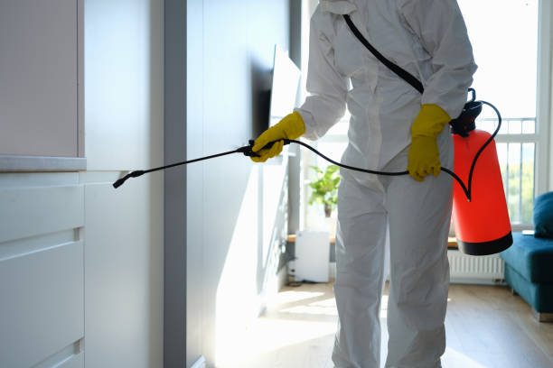 Best Emergency Mold Removal  in Perry, LA