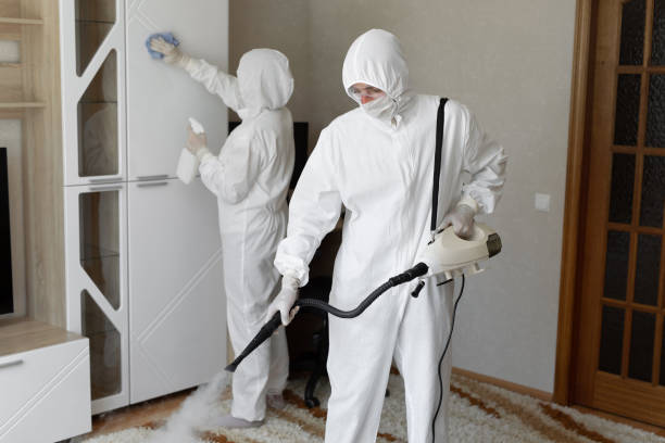 Home Mold Removal in Perry, LA