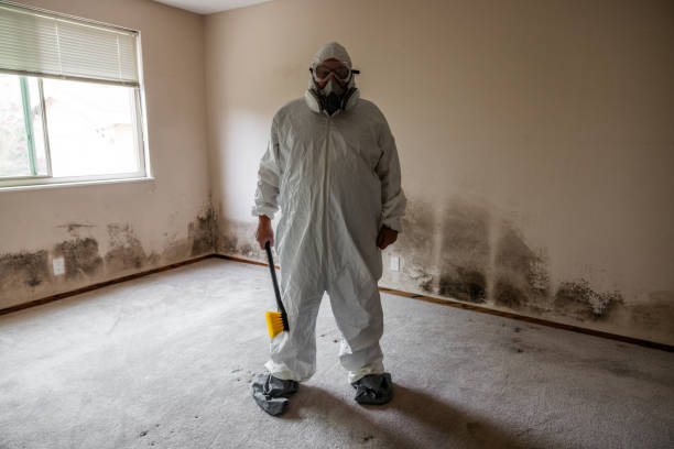 Best Mold Damage Repair  in Perry, LA
